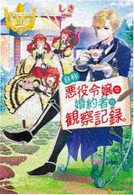 女奥特曼免费观看-永恒之光